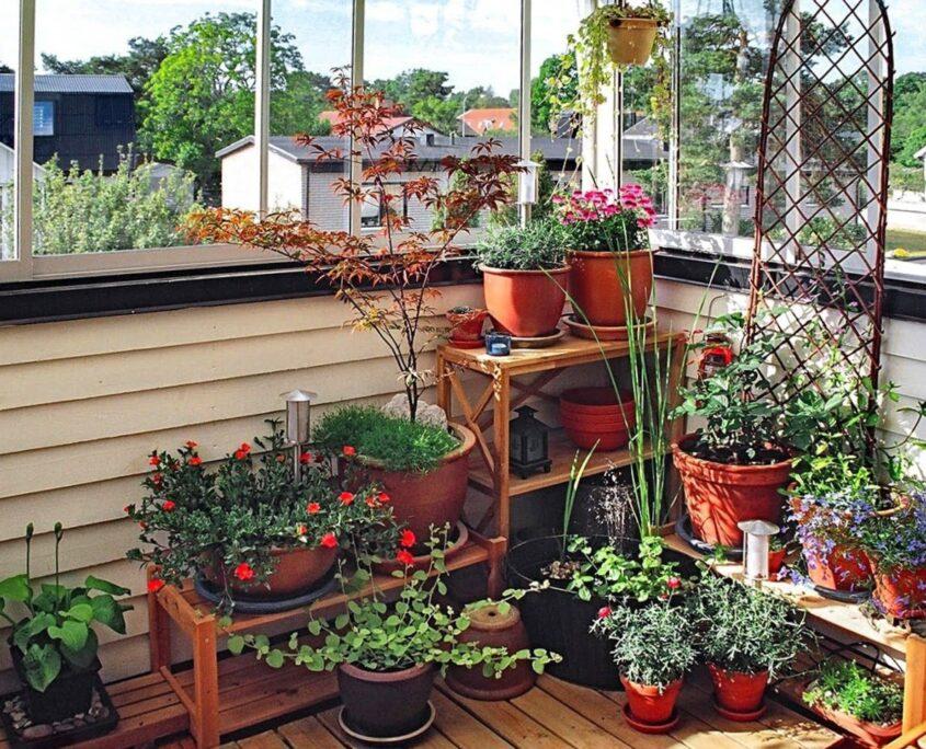 Cultivating Harmony: ⁤Guidelines for Growing Your Balcony Garden Oasis